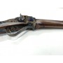 Rifle SHARP SPORTING CHIAPPA - Armeria EGARA