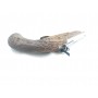Pistola DERRINGER ARDESA - Armeria EGARA