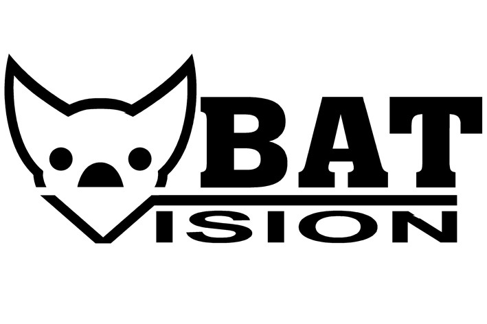 BAT VISION
